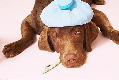 2022年8月首周销量估测 NS仍然表现强劲势头